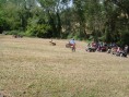 DSC00266